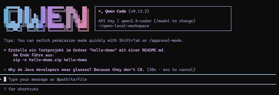 Terminal-Interface von Qwen Code