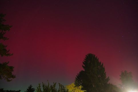 Nachtaufnahme mit rotem Himmel und Bäumen