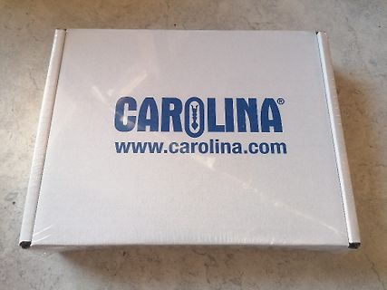Weißer Karton mit Carolina-Logo