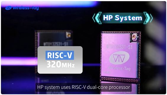 HP System mit RISC-V Dual-Core Prozessor