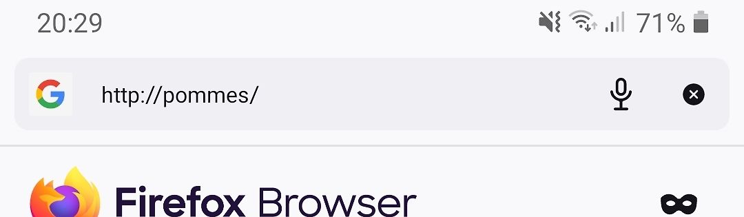 Screenshot eines mobilen Browsers mit Suchfeld
