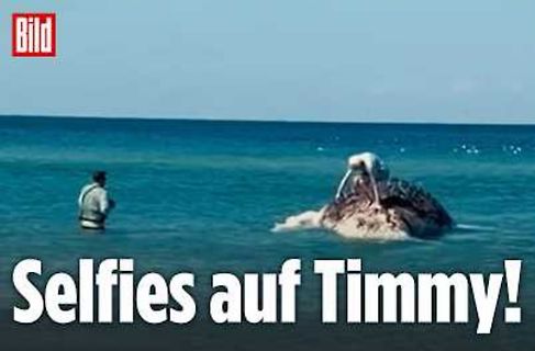 Meme mit Meer und Text