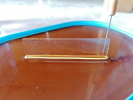 Glasplättchen auf brauner Flüssigkeit mit Metallnadel