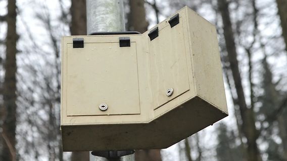 Beige Gehäuse an einem Mast im Freien