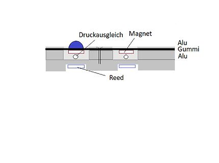 Querschnittzeichnung eines Sensors mit Magnet und Reed-Kontakt