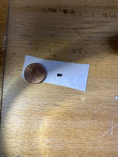 Kleines Bauteil neben einer 1-Cent-Münze