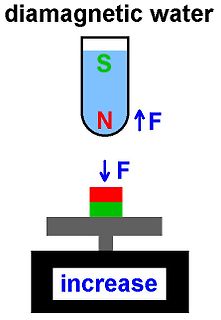 Skizze zur Diamagnetismus von Wasser