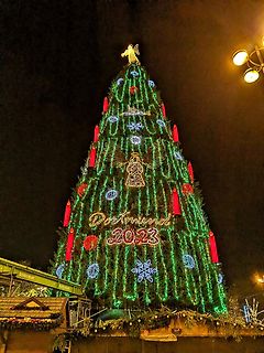 Beleuchteter Weihnachtsbaum in Dortmund