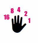 Grafik einer Hand mit Zahlen