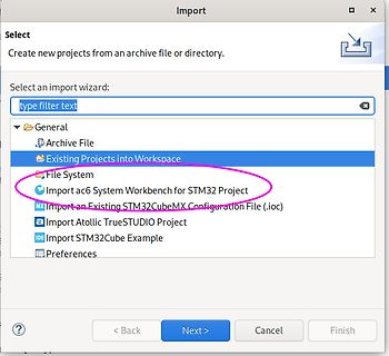 Import-Dialogfeld einer Software für STM32-Projekte