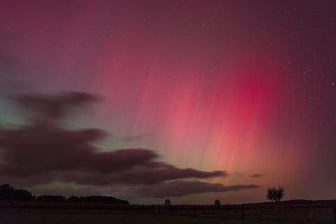 Rosa Polarlichter über dunkler Landschaft