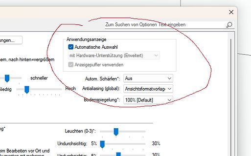 Software-Einstellungen Grafikoptionen