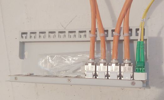 Patchpanel mit angeschlossenen Netzwerkkabeln