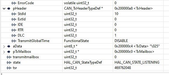Debugger-Ansicht einer CAN-Struktur in Software