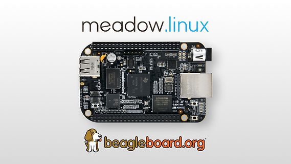 BeagleBoard Single Board Computer auf weißem Hintergrund