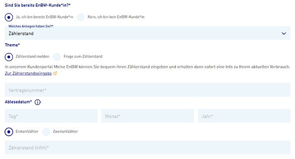 Webformular zur Zählerstandsmeldung EnBW
