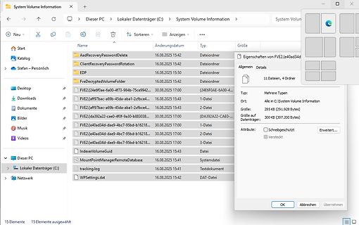 Windows Explorer Fenster mit Dateiinhalt