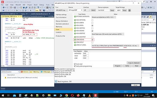 Screenshot der MPLAB Snap Software zur Mikrocontroller-Programmierung