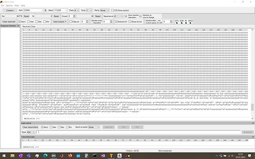 Screenshot eines Terminal-Programms mit Datenstrom