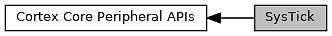Blockschaltbild Cortex Core Peripheral APIs und SysTick