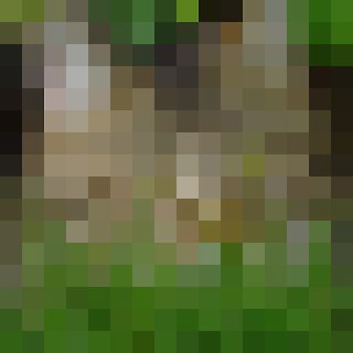 extrem verpixeltes Bild