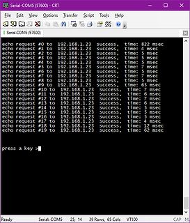 Serieller Terminal-Monitor mit Echo-Anfragen