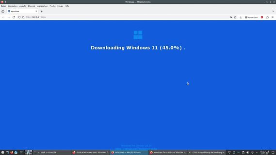Screenshot eines Windows 11 Downloads