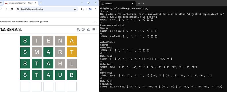 Python-Skript zur Automatisierung von Wordle auf Tagesspiegel