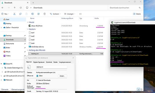 Windows Explorer Downloads Ordner und Terminal Fenster
