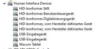 Windows Geräte-Manager Human Interface Devices Liste