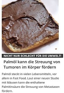Nachricht über Palmöl und Tumore