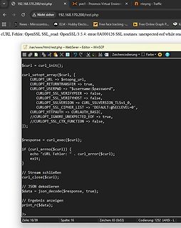 PHP Code für cURL Request