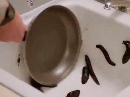 Pfanne und schwarze Objekte in einem Waschbecken