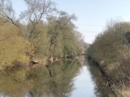 Flusslauf mit Bäumen und Spiegelung
