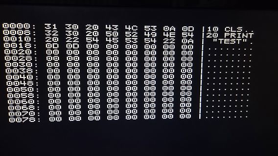 Abfotografierter Bildschirm mit Hexadezimal-Code und BASIC-Programm