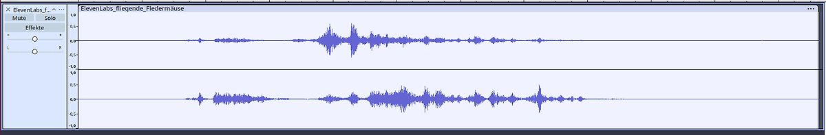Audio-Wellenform-Anzeige einer Software