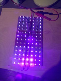 LED-Leiste mit violettem Licht auf Holzbrett