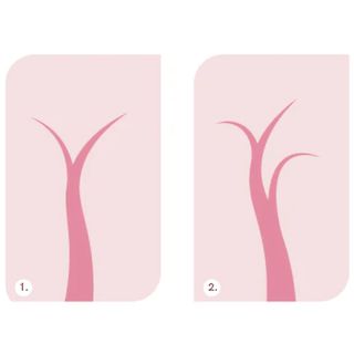 Grafische Illustration zweier stilisierter Formen