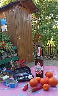 Bierflasche, Tomaten, Paprika und Werkzeugkoffer auf Tisch
