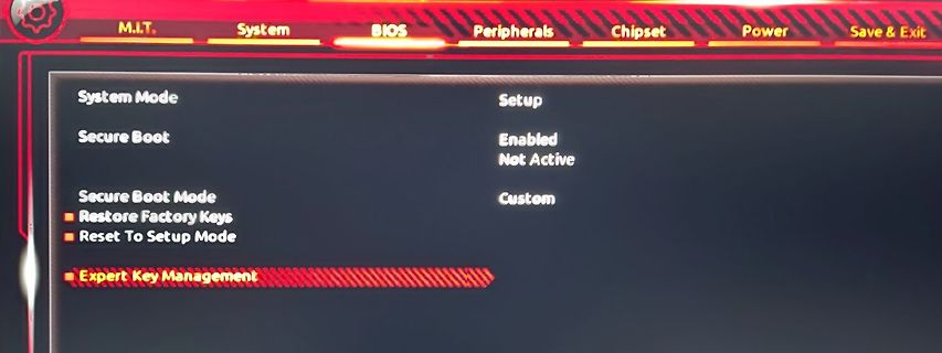 BIOS-Menü Einstellungen Secure Boot