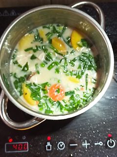 Suppe in einem Kochtopf auf einem Induktionskochfeld