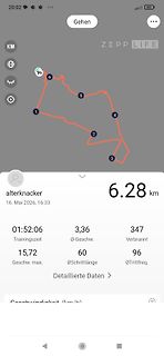 Screenshot einer Fitness-App mit Laufdaten