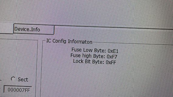Software-Anzeige von IC-Konfigurationsdaten