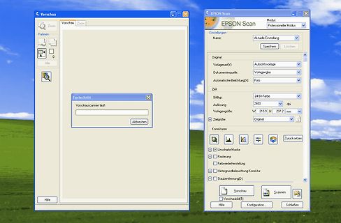 EPSON Scan Software-Oberfläche