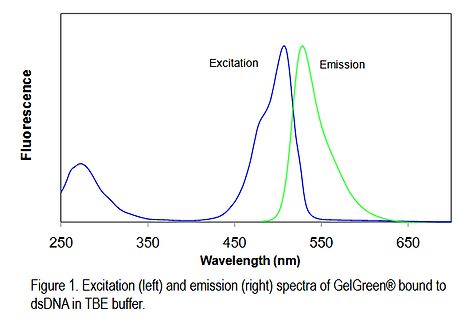 Anregungs- und Emissionsspektren von GelGreen an dsDNA