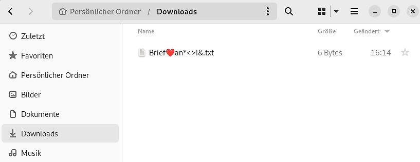 Dateimanager Ansicht Downloads Ordner