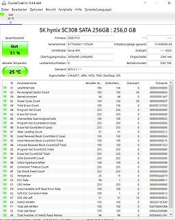CrystalDiskInfo S.M.A.R.T. Werte einer SK hynix SSD