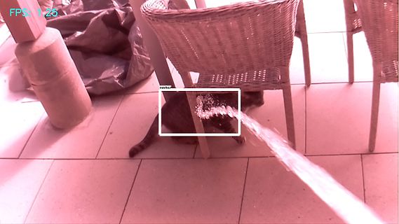 Katze unter Stuhl mit Wasserstrahl