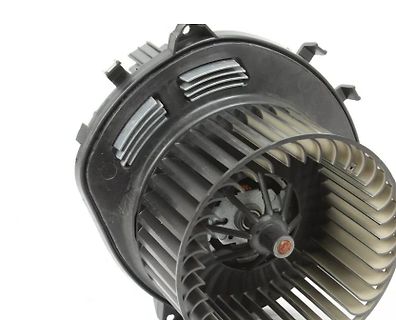 Lüfter eines Elektromotors