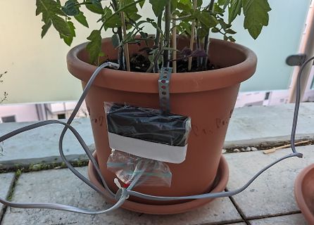 Pflanze in Terrakottatopf mit Kabeln und Beutel